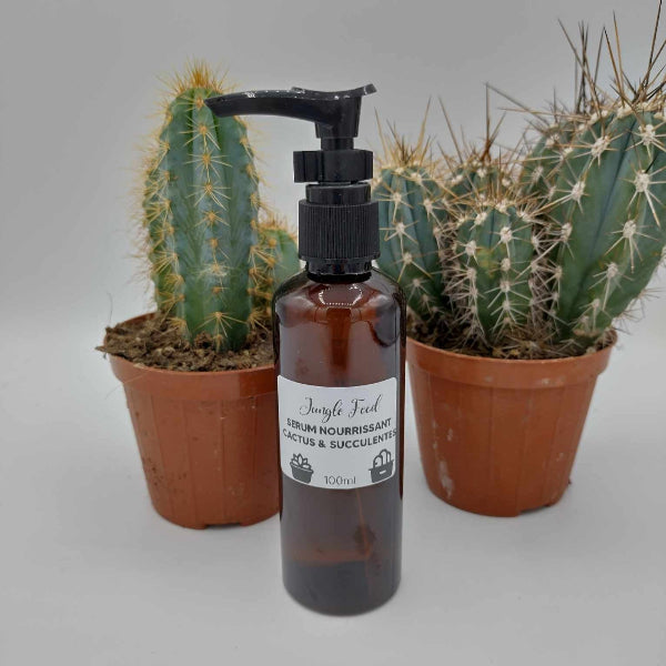 Engrais nourrissant cactus & succulentes pour faire grandir vos cactus et succulentes