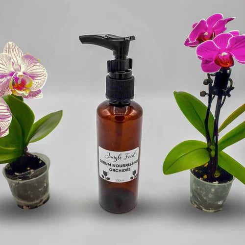 Sérum Nourrissant Jungle Feed : Orchidées en Fleur