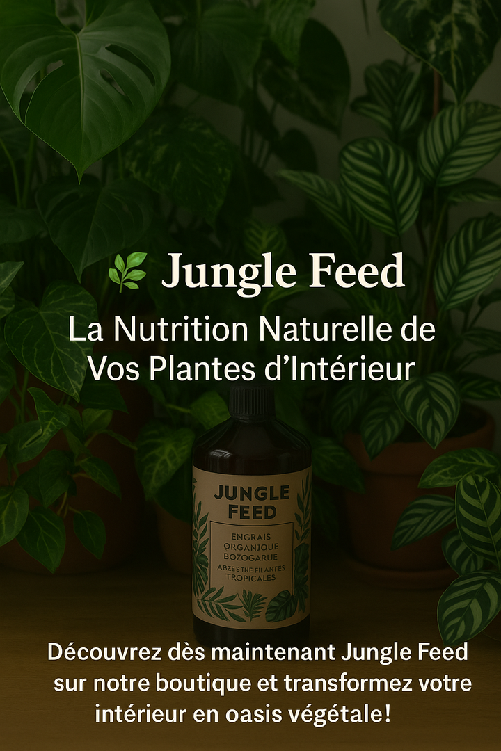 Jungle Feed : La Nutrition Naturelle de Vos Plantes d’Intérieur