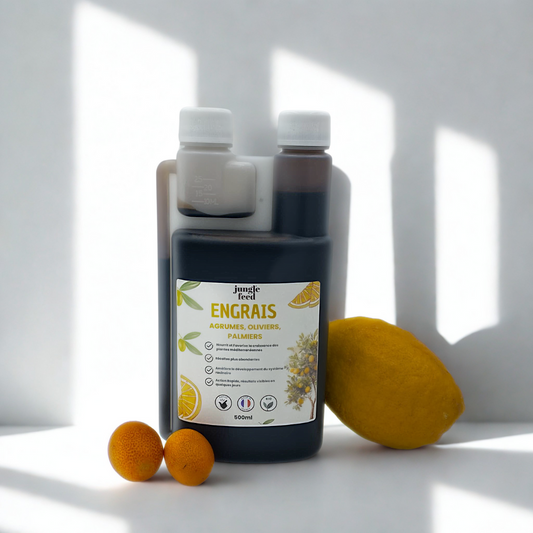 Organischer Dünger für mediterrane Pflanzen – Zitrusfrüchte, Olivenbäume und Palmen – 500 ml