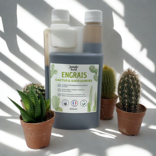 Bio Kakteen- &amp; Sukkulentendünger - 500ml