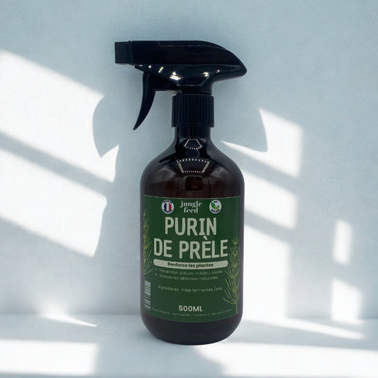Purin de Prêle