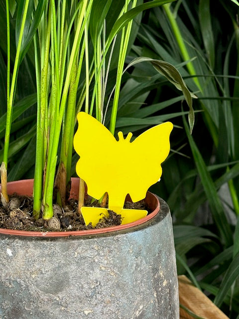 attrapes  insecte jaune à mettre dans pot de plante