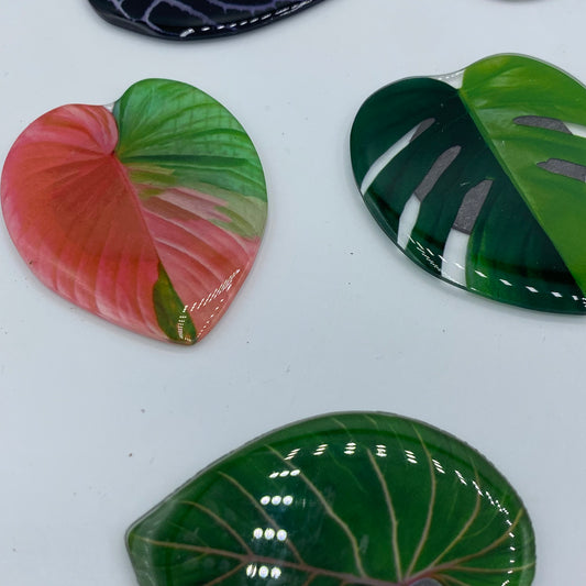 Aimants feuilles tropicales