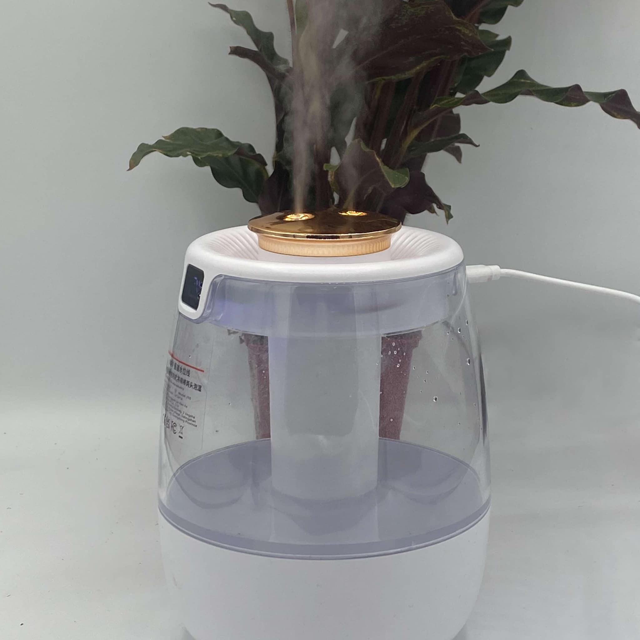 Pflanzen-Luftbefeuchter mit transparentem Wassertank und goldenem Deckel, der feinen Nebel für tropische Zimmerpflanzen erzeugt