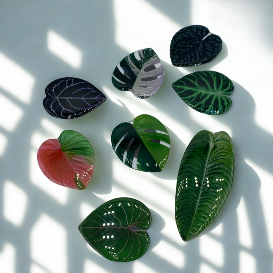 Un assortiment de sept aimants décoratifs en forme de feuilles de plantes tropicales (Monstera, Alocasia, Anthurium) sur un fond blanc avec des ombres.