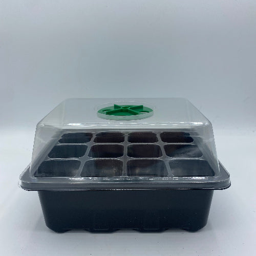 mini serre de germination sous un fond blanc