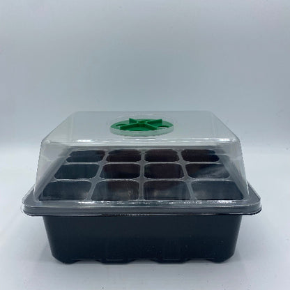 mini serre de germination sous un fond blanc