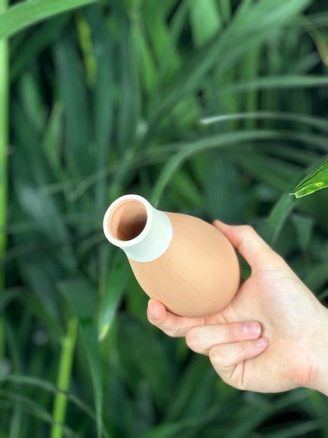 Oya en terre cuite pour irrigation naturelle en vue de l'intérieur