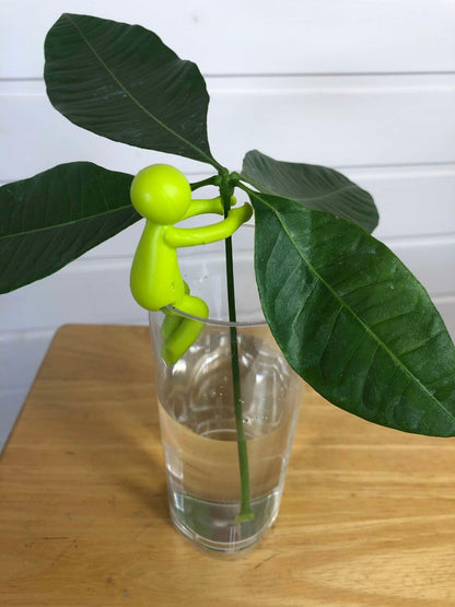 petit personnage en plastique vert clair qui tient une bouture de pachira aquatiqua dans un verre d'eau