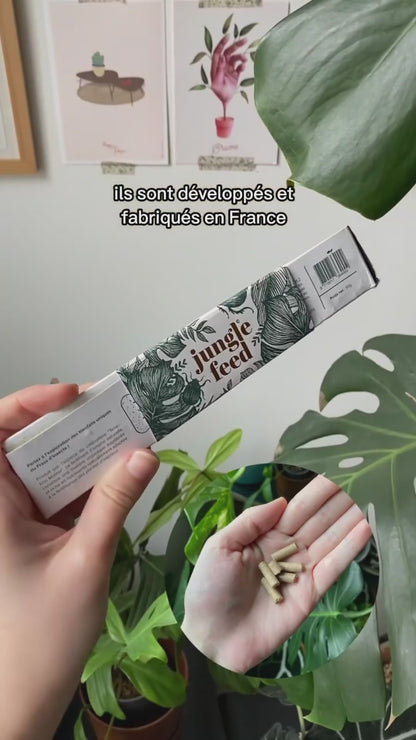Natürlicher Dünger - 10er-Set „Jungle Stick“ + 2 GRATIS