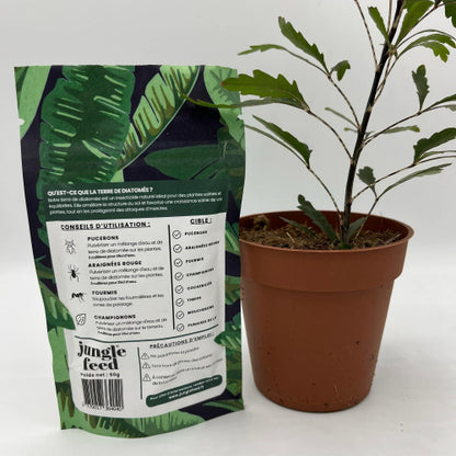 terre de diatomee vue dos du sachet avec les explications et une plante à coté