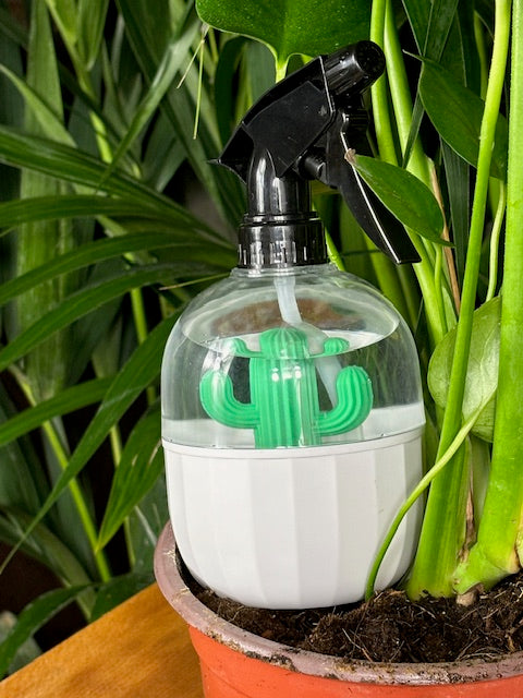 vaporisateur transparent décoration cactus rempli d'eau