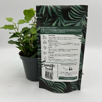 zeolite vue de dos dos du sachet avec instruction à coté d'une plante verte